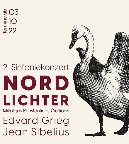 2. Sinfoniekonzert (Grafik: Kristin Niemann)