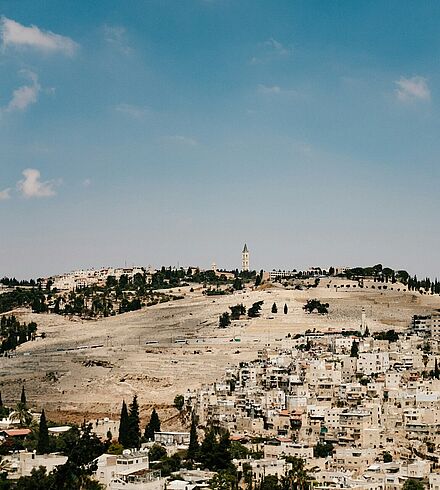 Die Landschaft des Ölberges in Jerusalem.