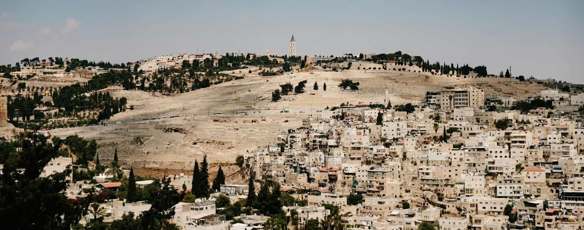 Die Landschaft des Ölberges in Jerusalem.