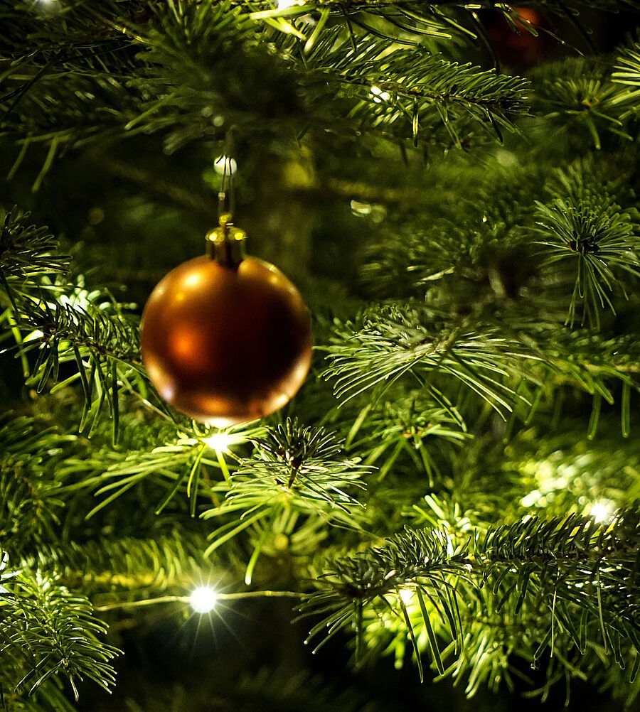 Tannengrün mit goldener Weihnachtskugel
