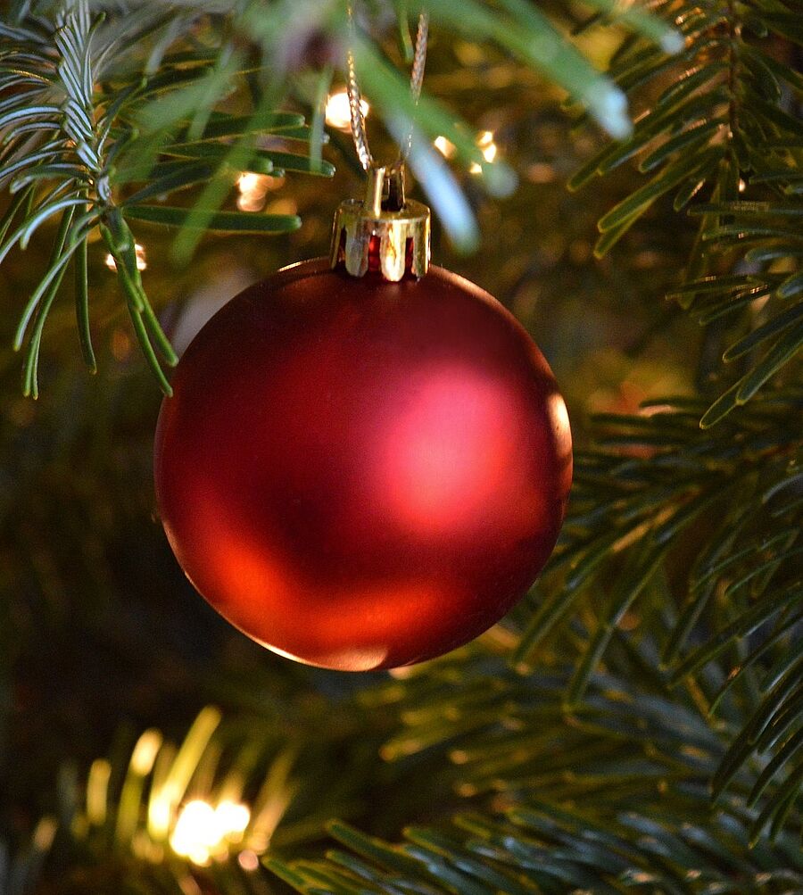 Rote Weihnachtsbaumkugel am Tannenbaum